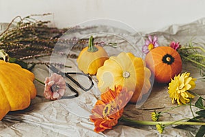 Autumn still life. Pumpkins , scissors and autumn flowers composition on rustic paper. Hello fall