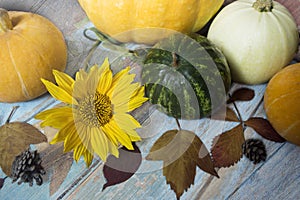 Autumn still life with pumpkins, watermelon and leaves on a wooden background