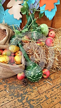 autumn still life - rich harvest on a haystack