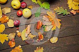 Autumn still life in rustic style as a background - fruits and leaves on a wooden boards