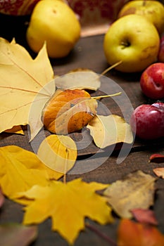 Autumn still life in rustic style as a background - leaves on a wooden boards