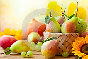 Autumn still life with seasonal fruits