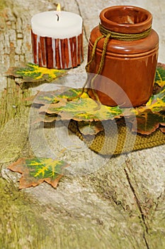 Autumn still-life for Thanksgiving