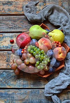 Autumn still life for thanksgiving with autumn fruits and berries on wooden background - grapes, apples, plums, viburnum, dogwood