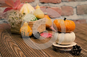 Autumn still life on the theme of the harvest of small different pumpkins.