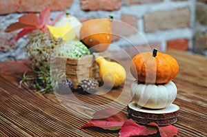 Autumn still life on the theme of the harvest of small different pumpkins.