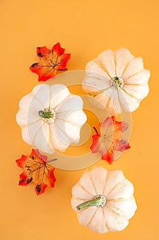 Autumn still life with three white pumpkins and bright maple leaves on a pastel orange background. Copy space for text.Template