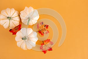 Autumn still life with three white pumpkins and bright maple leaves on a pastel orange background. Copy space for text.Template