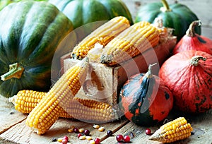 Autumn still life from variety of pumpkins, corn, grain and cranberry berries