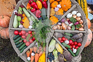 Autumn Still Life with with vegetables and fruits