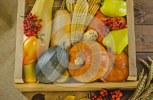 Autumn still life of vegetables in a wooden box for Thanksgiving. Harvest Festival