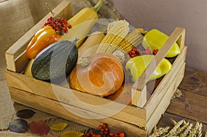 Autumn still life of vegetables in a wooden box for Thanksgiving. Harvest Festival