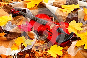 Autumn still life with a violin and autumn leaves