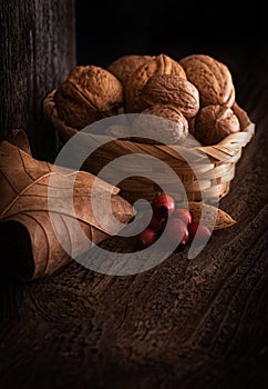 Autumn Still Life with Walnut, Leaf and Rosehip.