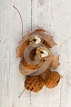 Autumn still life with walnuts