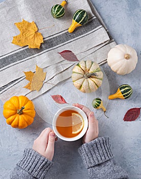 Autumn stillife. cup of tea in hand and some decorative pumpkins and leaves on blue background