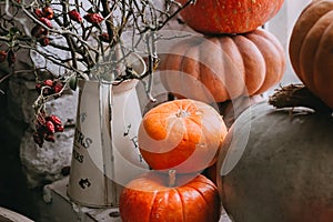 Autumn stillife with pumpkins