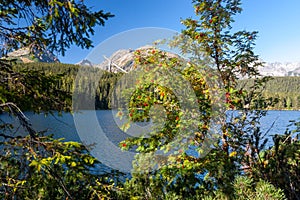 Autumn at Strbske tarn, High Tatras mountains, Slovakia