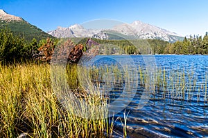 Autumn at Strbske tarn, High Tatras mountains, Slovakia