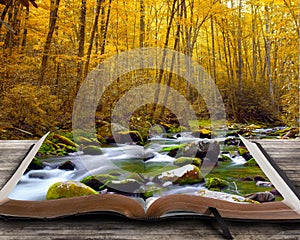 Autumn stream with book.