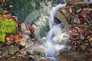 Autumn Stream Flowing with Nature Elements