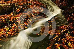 Autumn stream in Giant mountains