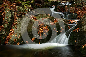 Autumn stream in Giant mountains