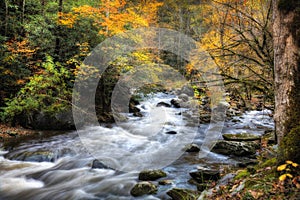 Autumn Stream with mossy rocks