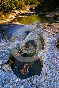 Autumn, Stream, Pisgah National Forest