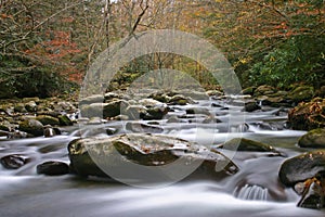 Autumn Stream in the Smokies