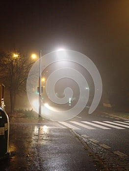 Autumn street with tree in the night