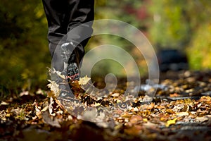 Autumn stroll