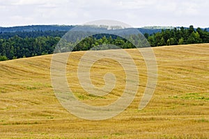 Autumn stubble field near the forest