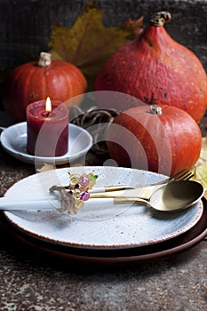 Autumn style table setting with pumpkins