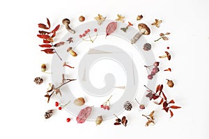 Autumn styled botanical arrangement. Blank card mockup scene. Composition of mushrooms, pine cones, beechnuts, colorful