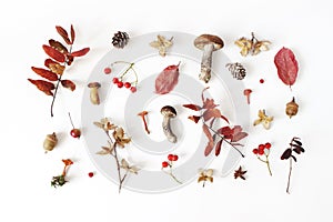 Autumn styled botanical arrangement. Composition of mushrooms, acorns, pine cones, beechnuts, colorful dried leaves
