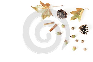Autumn styled botanical arrangement. Composition of oak acorns, pine cones, dried maple, plane tree leaves and cinnamon