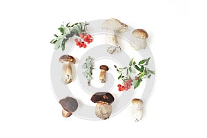 Autumn styled botanical arrangement. Composition of porcino mushrooms, Boletus edulis, rowan berries and lichen on white