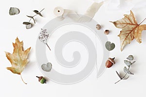 Autumn styled stock photo. Feminine wedding desktop stationery mockup scene with blank greeting card, dry eucalyptus