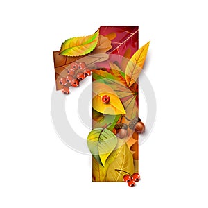 Autumn stylized alphabet with foliage. Digit1