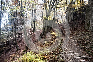 Autumn Sulovske skaly mountains in Slovakia