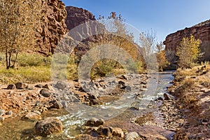 Autumn on Sulphur Creek