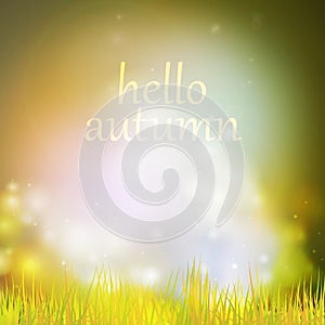 Autumn or summer abstract nature background