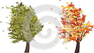 Autumn and summer grunge tree in the wind. Vector