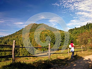 Autumn, summer hill Landscape
