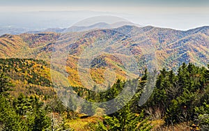 Autumn from the Summit of Mount Mitchell photo