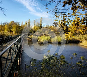 An Autumn sunny day at Sticlarie Park in Bucharest