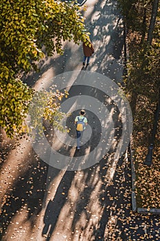 Autumn sunny day, walking people, park alley dotted with fallen leaves, yellow foliage of trees, top view. Color, light