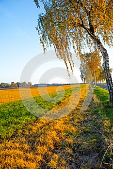 Autumn sunny landscape with colorful view Lower Saxony