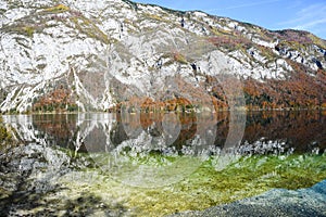 Autumn sunny morning on the Bohinj Lake with the reflection of the mountain